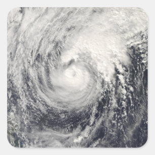フィリピン海の台風のイルカ スクエアシール