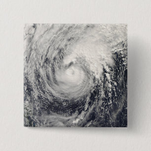 フィリピン海の台風のイルカ 缶バッジ