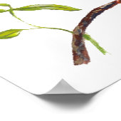 フィリピン矮性カワセミ固有鳥 ポスター (角)