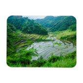 フィリピン,イネテラスの風景 マグネット (横)