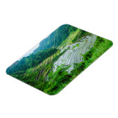 フィリピン，イネテラスの風景 マグネット (左側)