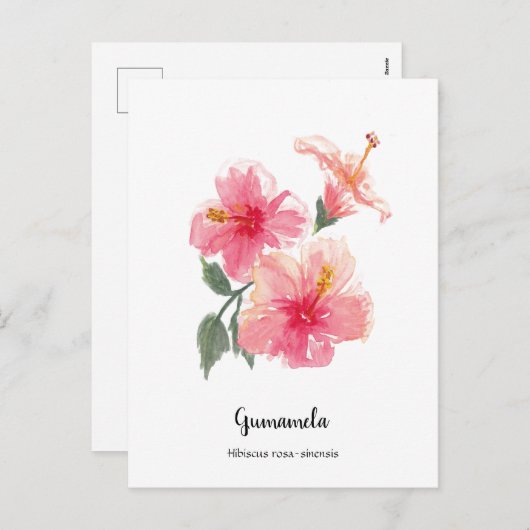 フィリピン・グミエラ・ハイビスカス水彩画ポスター シーズンポストカード (正面/裏面)