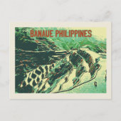 フィリピン、バナウエ・ルソン島の棚田 ポストカード (正面)