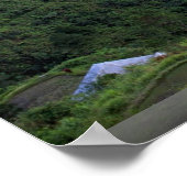 フィリピン，バナナの棚田 ポスター (角)