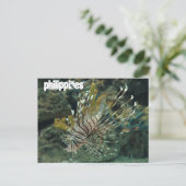 フィリピン ポストカード (スタンド正面)