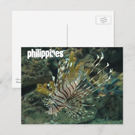 フィリピン ポストカード (正面/裏面)