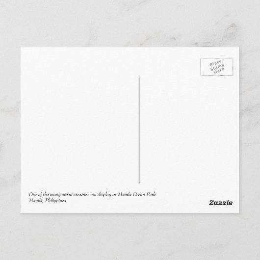 フィリピン ポストカード (裏面)