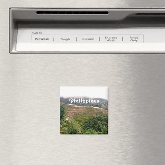 フィリピン マグネット (インサイチュ (食洗機))