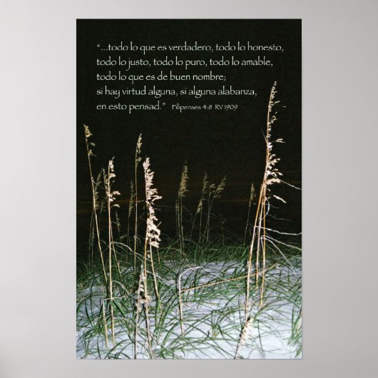 フィリペンセ4-8b ポスター (正面)