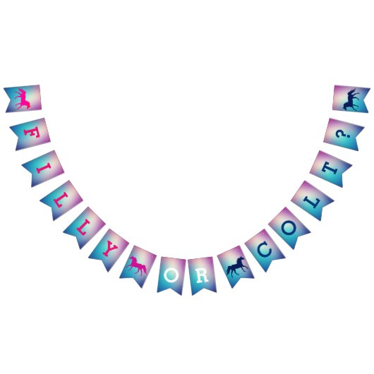 フィリーまたは子馬ピンクとブルーの性別がバントを明らかにする バンティングフラッグ (全)