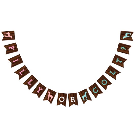 フィリーまたは子馬西部のスタイルジェンダーの明かす バンティングフラッグ (全)