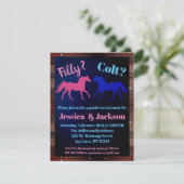 フィリーまたは子馬西部のスタイルジェンダーの明かす 招待状 (スタンド正面)