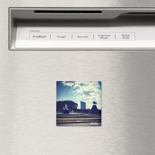 フィリー磁石 マグネット (インサイチュ (食洗機))