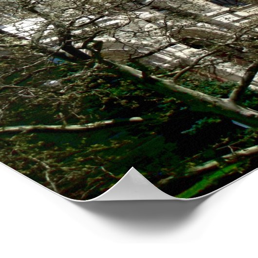 フィリー ポスター (角)