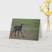 フィリ飛んでいるー：フリーダムグリーティングカードへのギャロッピング カード (黄色い花)