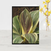 フィルター付きTiプラントのノートカ芸術的ード カード (黄色い花)