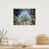 フィルミー・ドームスパイダーポスターくもの巣 ポスター (キッチン)