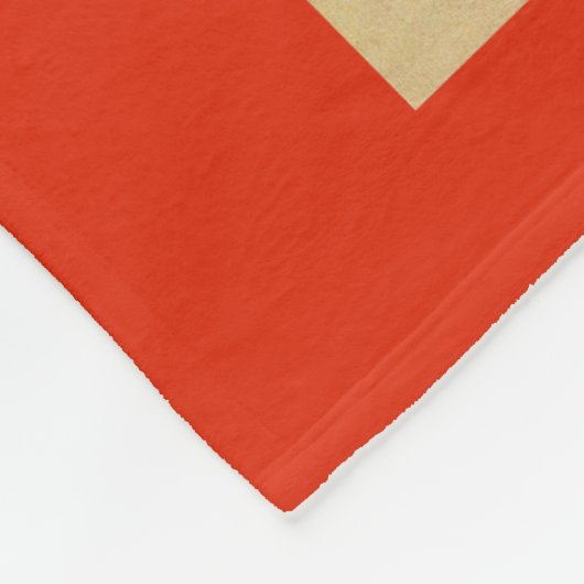 フィルムのおもしろいの雑誌カバー2 フリースブランケット (角)