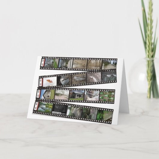 フィルムのストリップの2003-04年の挨拶状 カード (正面)