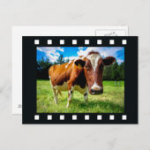 「フィルムストリップ」はがきの写真 ポストカード (正面/裏面)