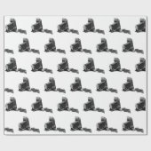 フィルム付きベローズカメラ ラッピングペーパー (フラット)