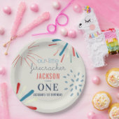 フィレクラッカー7月4日Fireworks誕生日 ペーパープレート (パーティー)