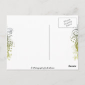 フィレンツェポンテヴェッキオ ポストカード (裏面)