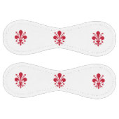 フィレンツェ国旗と愛国的なソフトボール。イタリア ソフトボール (パネル)