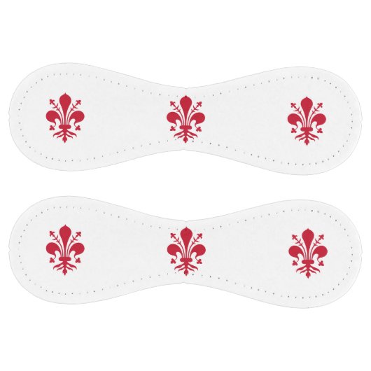 フィレンツェ国旗と愛国的なソフトボール。イタリア ソフトボール (パネル)