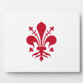 フィレンツェ国旗の額 フォトプラーク (正面)