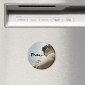 フィレンツェ磁石 マグネット (インサイチュ (食洗機))