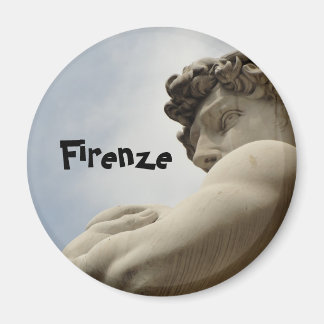 フィレンツェ磁石 マグネット