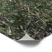 フィロパポウヒルからのアクロポリスの眺め ポスター (角)