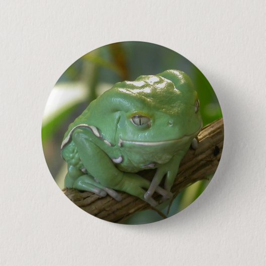 フィロメドゥーサ 缶バッジ (正面)