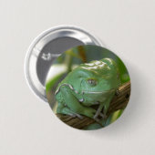 フィロメドゥーサ 缶バッジ (正面&裏面)