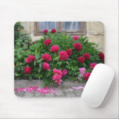 フィングストロセン マウスパッド (マウス)