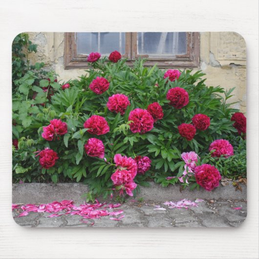 フィングストロセン マウスパッド (正面)