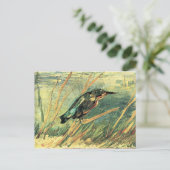 フィンセント・ヴァン・ゴッホのキングフィッシャー ポストカード (スタンド正面)