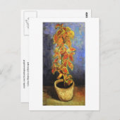 フィンセント・ヴァン・ゴッホ植木鉢のコレウス植物 ポストカード (正面/裏面)