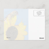 フィンチと花 ポストカード (裏面)