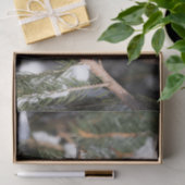 フィンチオンパインブランチ 薄葉紙 (ギフト)