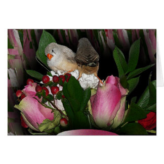 フィンチスカード2