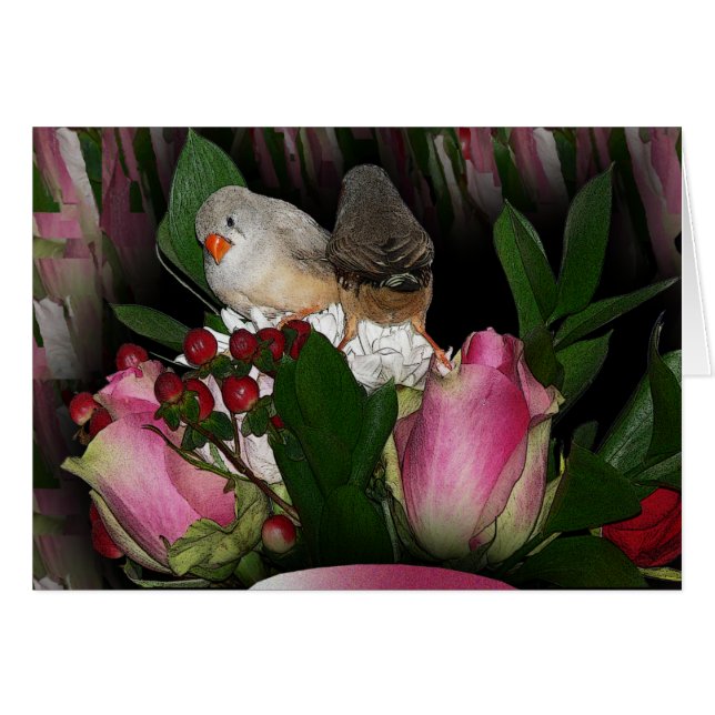 フィンチスカード2 (正面横)