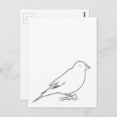 フィンチスケッチ ポストカード (正面/裏面)