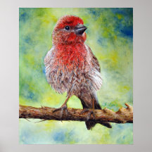 フィンチープリント