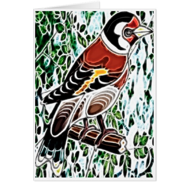 フィンチ空白の (正面)