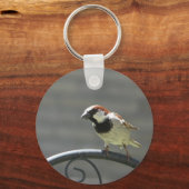 フィンチ キーホルダー (正面)