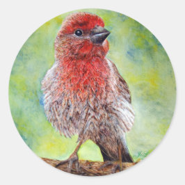 フィンチ・ステッカー ラウンドシール