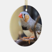 フィンチ セラミックオーナメント (右)