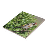 フィンチ タイル (側面)